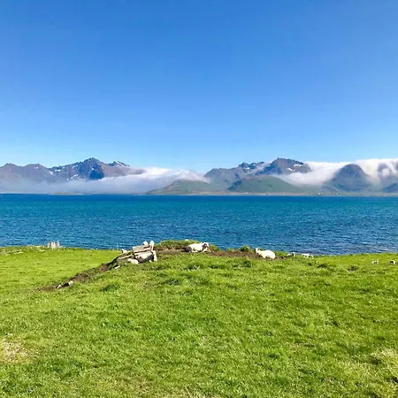 Lofotenfeeling, Haverringen Panorama Feriehus